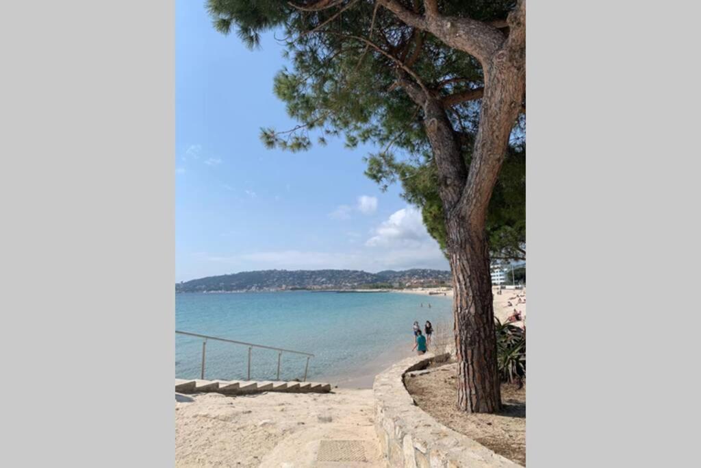 شقة Juan Les Pins Joli T2 Parking Inclus! أنتيب المظهر الخارجي الصورة
